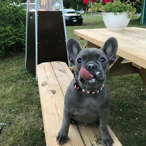 Meet your Posher, Kaitlin